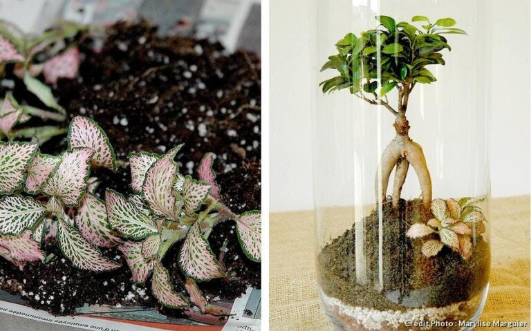 Comment faire une mousse bien fermé ?