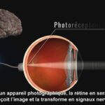 Comment fonctionne Seazon ?