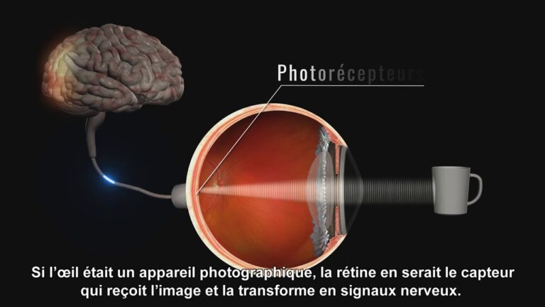 Comment fonctionne Seazon ? Comment fonctionne Seazon ?