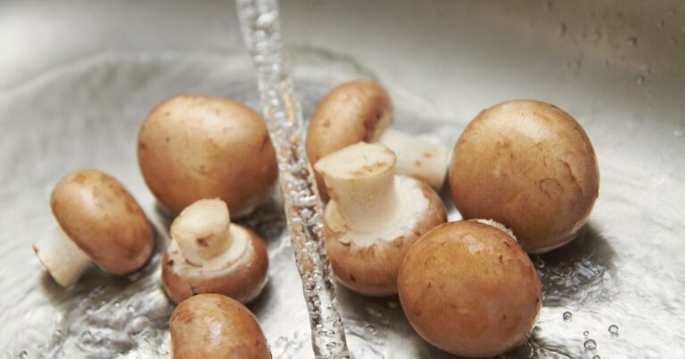 Comment laver ses champignons ?