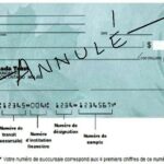 Comment lire un spécimen chèque RBC ?