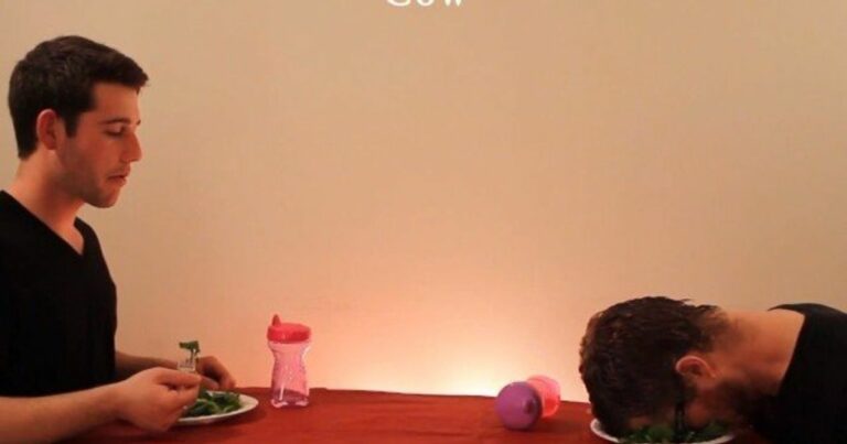 Comment mangent les riches ? Comment mangent les riches ?