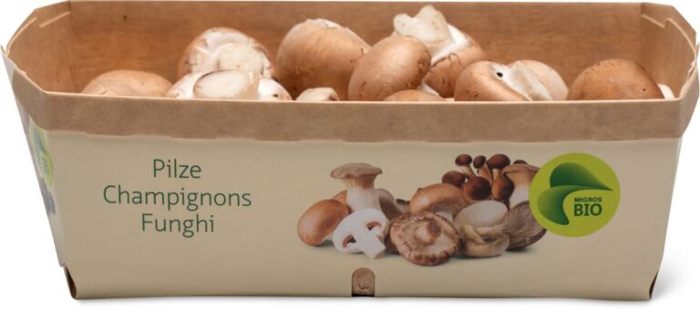 Comment manger des champignons bruns ?