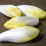 Comment manger des endives crues ?