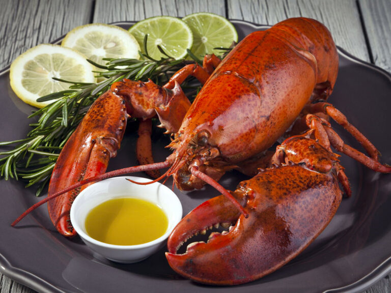 Comment manger homard froid ? Comment manger homard froid ?