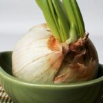 Comment manger l'ail cuit ?