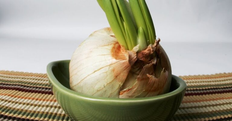 Comment manger l'ail cuit ?