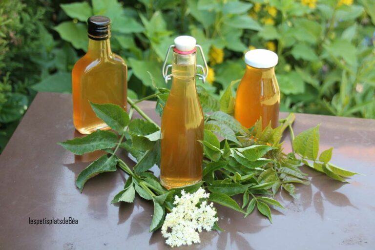 Comment manger les fleurs d'acacia ?