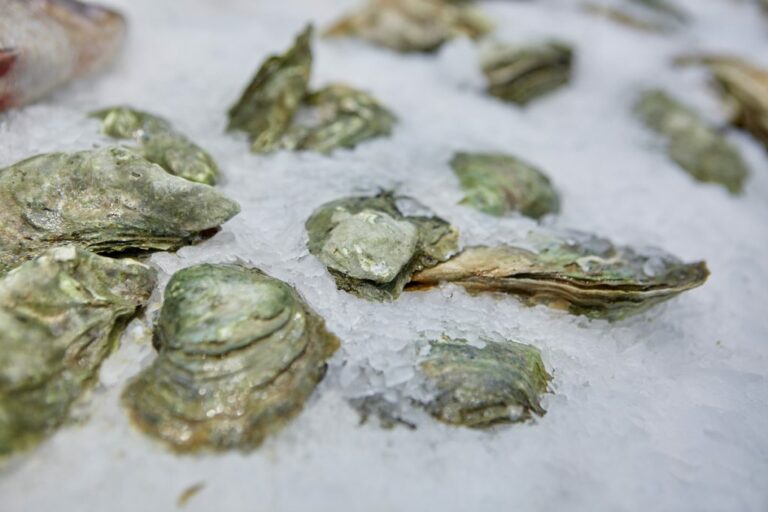 Comment manger les huîtres fraîches ?