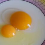 Comment manger un œuf d'oie ?