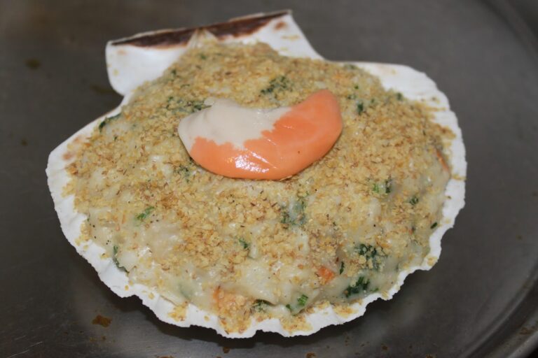 Comment mettre des coquilles St Jacques au congélateur ? Comment mettre des coquilles St Jacques au congélateur ?