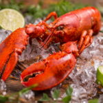 Comment meurt un homard ?