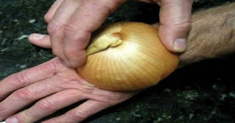 Comment mixer de l’oignon ? Comment mixer de l'oignon ?