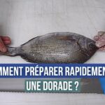 Comment nettoyer et vider une dorade ?