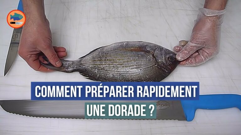 Comment nettoyer et vider une dorade ?
