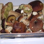Comment nettoyer les champignons des bois ?