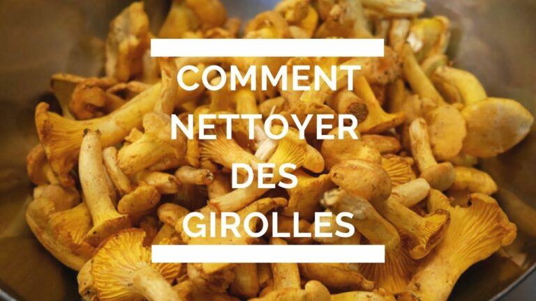 Comment nettoyer les girolles fraîches ? Comment nettoyer les girolles fraîches ?