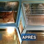 Comment nettoyer une Oronge ?