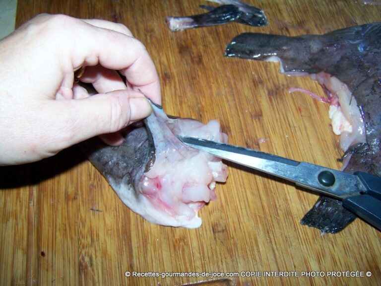 Comment nettoyer une lotte entière ? Comment nettoyer une lotte entière ?