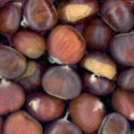 Comment on appelle le marron en anglais ?