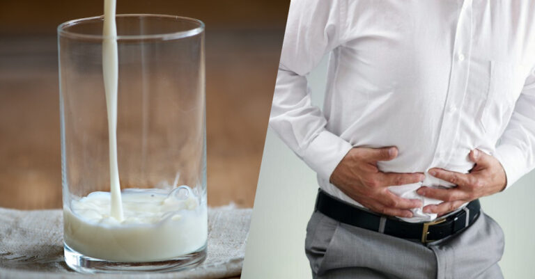 Comment on devient intolérant au lactose ?