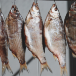 Comment on fait sécher le poisson ?