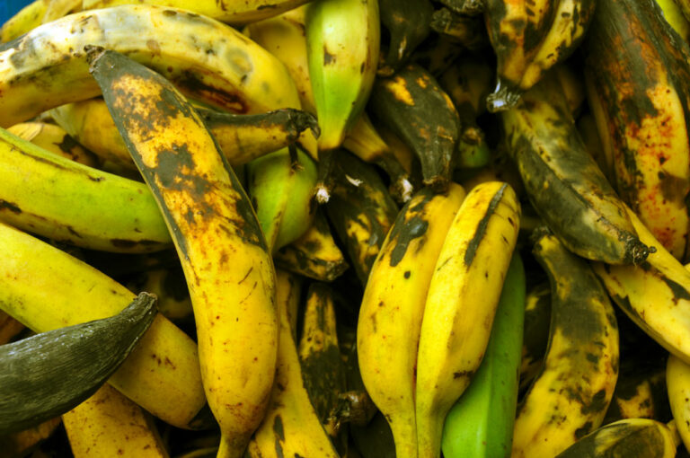 Comment on mange la banane plantain ? Comment on mange la banane plantain ?