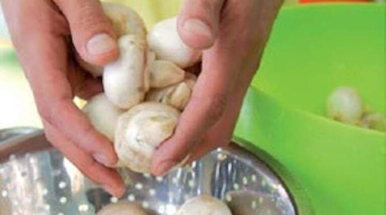Comment on nettoie les champignons ?