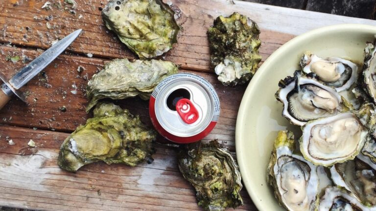 Comment ouvrir des huîtres sans couteau spécial ?