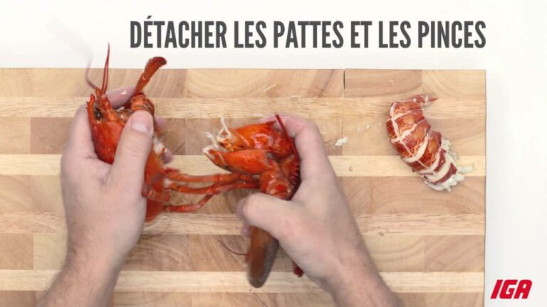 Comment ouvrir un homard cuit ? Comment ouvrir un homard cuit ?