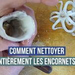 Comment paner des encornets ?