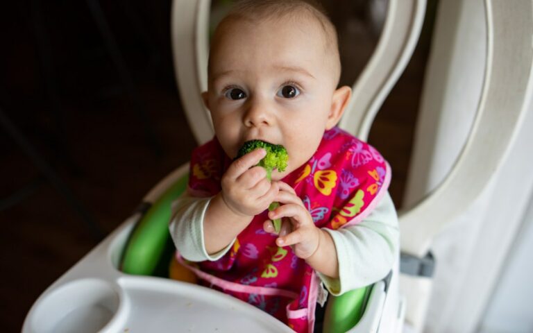 Comment passer de la purée à la DME ? Comment passer de la purée à la DME ?