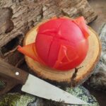 Comment peler facilement les tomates ?