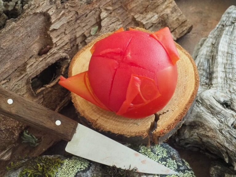 Comment peler facilement les tomates ? Comment peler facilement les tomates ?