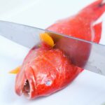 Comment pocher du poisson congelé ?