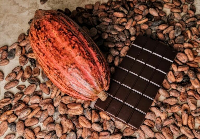 Comment prendre la poudre de cacao ? Comment prendre la poudre de cacao ?