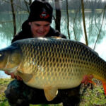 Comment prendre une photo avec une carpe ?