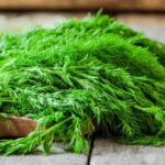 Comment préparer de l'aneth ?