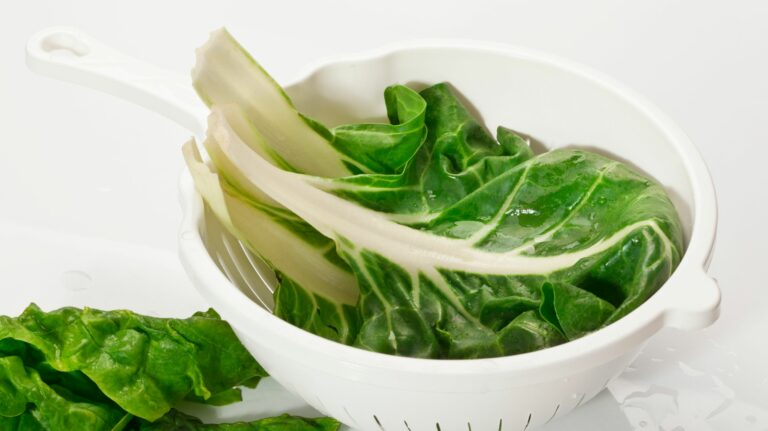 Comment préparer des blettes pour bébé ? Comment préparer des blettes pour bébé ?