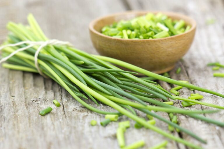 Comment préparer la ciboulette ?