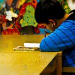 Comment préparer la lingue ?