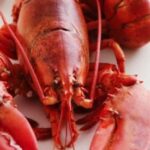 Comment préparer le homard congelé ?