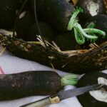 Comment préparer le radis noir pour le foie ?