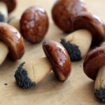 Comment préparer les champignons Pissacan ?