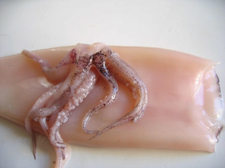 Comment préparer les tentacules d'encornets ?