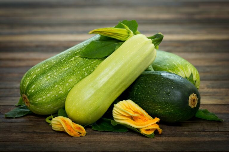 Comment préparer une grosse courgette ? Comment préparer une grosse courgette ?