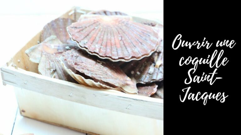Comment purifier une coquille Saint-jacques ? Comment purifier une coquille Saint-jacques ?