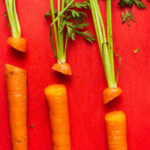 Comment râper des carottes avec Monsieur Cuisine ?