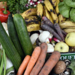 Comment reconnaître les légumes ?