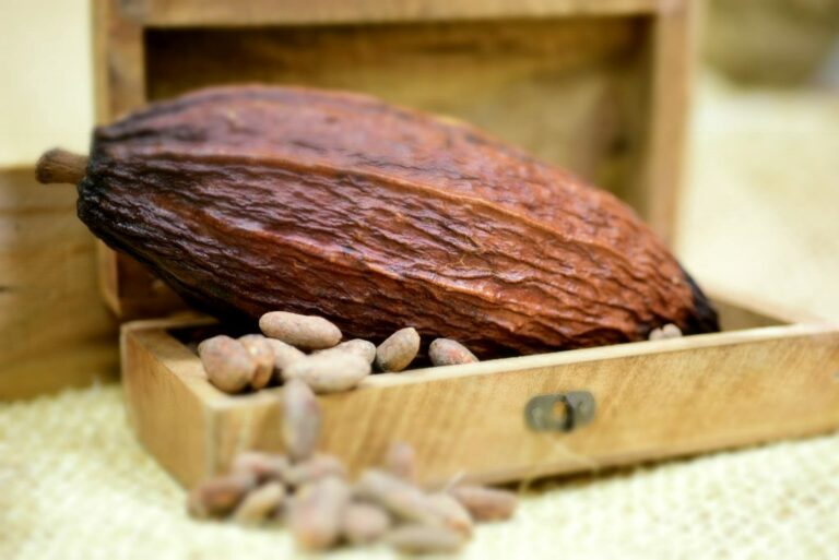 Comment reconnaître un bon beurre ?